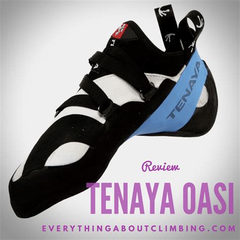 Tenaya Oasi Review .